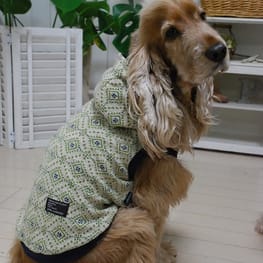 きまぐれなぬいぬい屋さんさんの作品