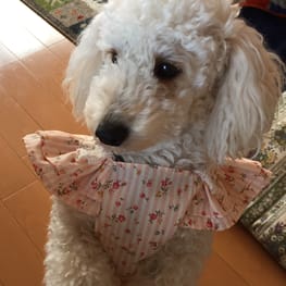 ジョンさんの作品