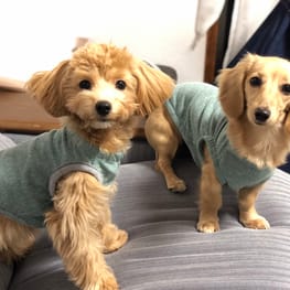 gaminさんの作品