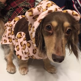 みにくろりんさんの作品