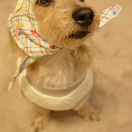 ひなはなさんの作品