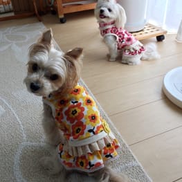 モコさんの作品