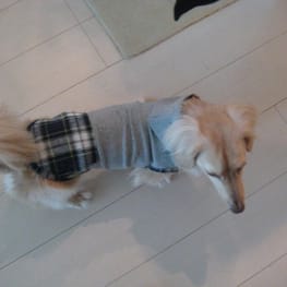 korino-rinoさんの作品