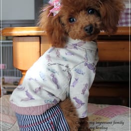 jun*junさんの作品