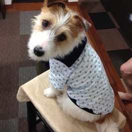 randymikioさんの作品