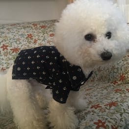 みちもこさんの作品