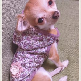 キャサリンさんの作品