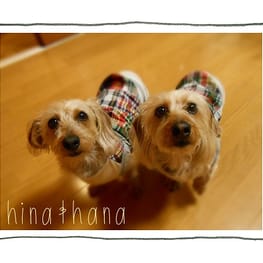 ひなはなさんの作品