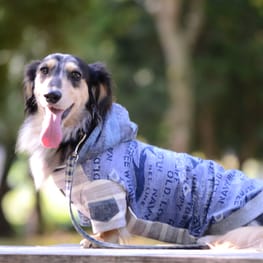 Linneさんの作品