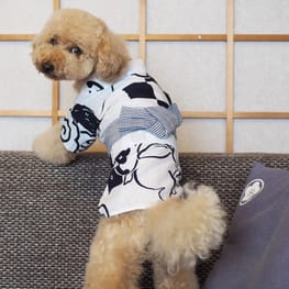 totokichi55さんの作品