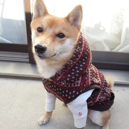 ナツ色さんの作品