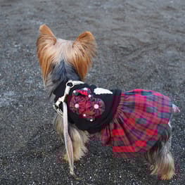 やすべえさんの作品