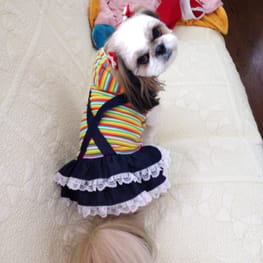 らくすさんの作品