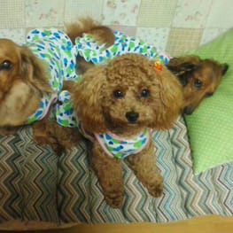 モコさんの作品