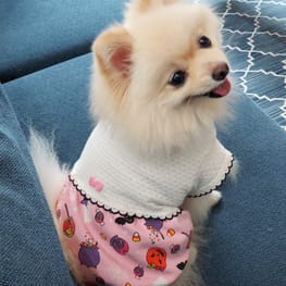 にこママさんの作品