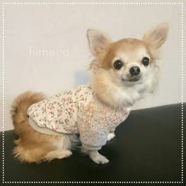 ひめこさんの作品