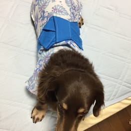 めぐみんさんの作品