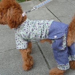 カペルさんの作品