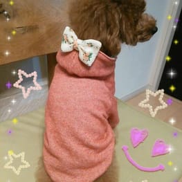 トモコさんの作品