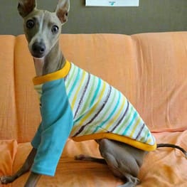 ちょここさんの作品