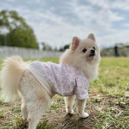 にこママさんの作品