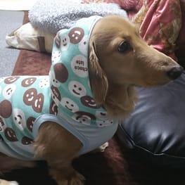 ちみさんの作品