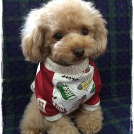 もえこむさんの作品