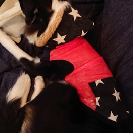 ぱんだ。さんの作品