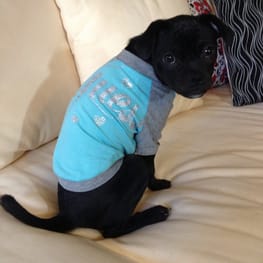 Princessmiyaさんの作品