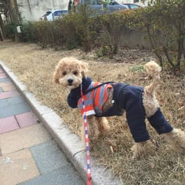 ミーナさんの作品