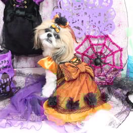 ここあずままさんの作品