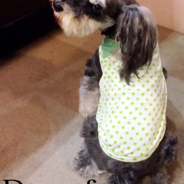 Dwarfさんの作品