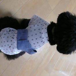 くろねこまめさんの作品