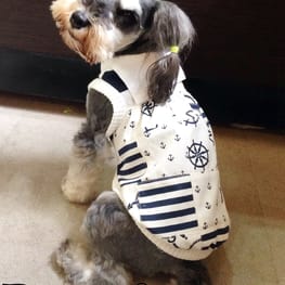 Dwarfさんの作品