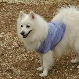 えびすさんの作品