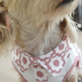 ひなはなさんの作品