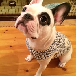 まりもさんの作品