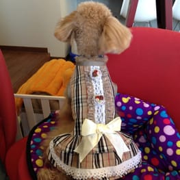 らくすさんの作品