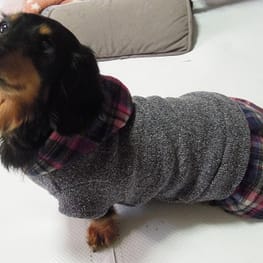 ライさんの作品