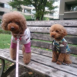 kaorunさんの作品