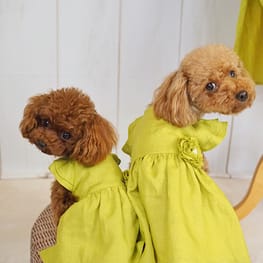 アロモアママさんの作品