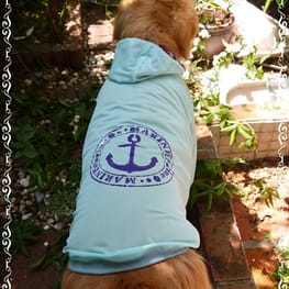 メグやんさんの作品