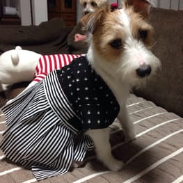 randymikioさんの作品