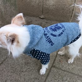 kuuminさんの作品