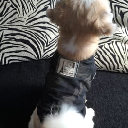 hananonnさんの作品