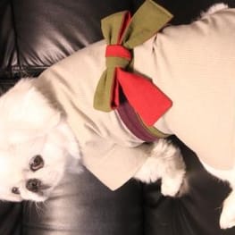 ちゃちゃまるさんの作品