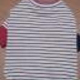 kaorunさんの作品