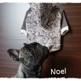 boom3tanさんの作品