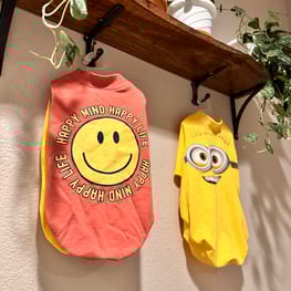 りりかさんの作品