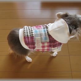 りんたんさんの作品